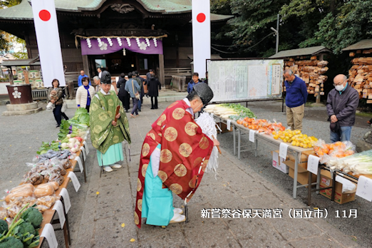 新嘗祭谷保天満宮（国立市）11月